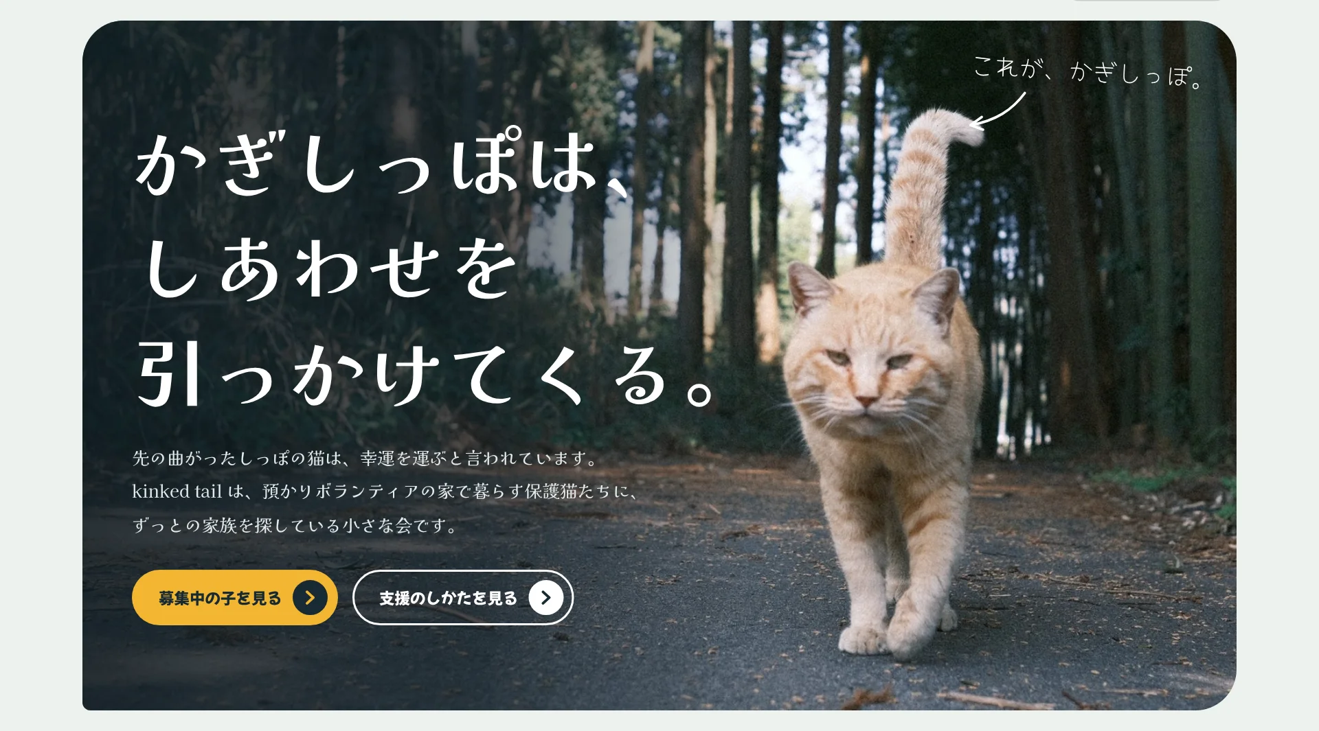 一枚で語るの画面