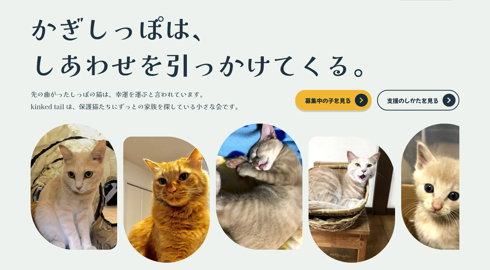 顔が流れるの画面